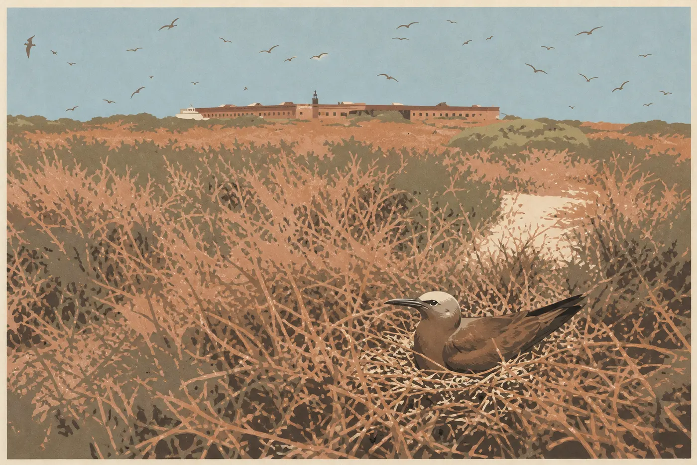 Illustration sérigraphiée : Oiseaux migrateurs faisant halte au printemps dans la végétation de Garden Key près de Fort Jefferson
