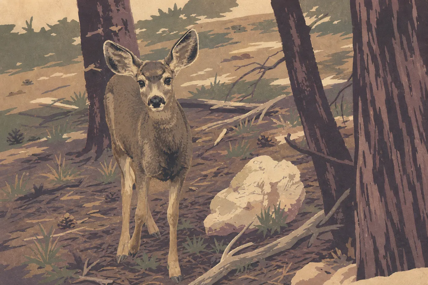 Illustration sérigraphiée : Un cerf hémione traverse une clairière de pins ponderosa près de Grand Canyon Village.