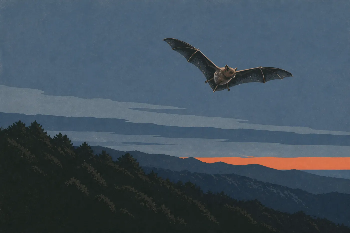 Illustration sérigraphiée : ʻŌpeʻapeʻa en vol au crépuscule devant la silhouette boisée des pentes orientales de Haleakalā