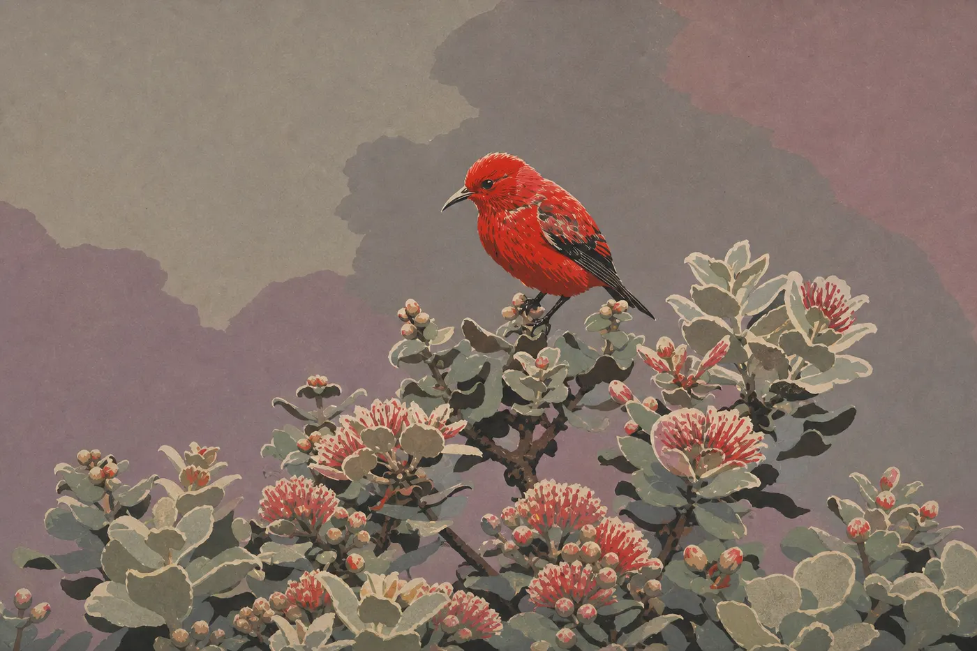 Illustration sérigraphiée : Un ʻapapane rouge vif perché parmi les fleurs d ʻōhiʻa lehua de la forêt native.