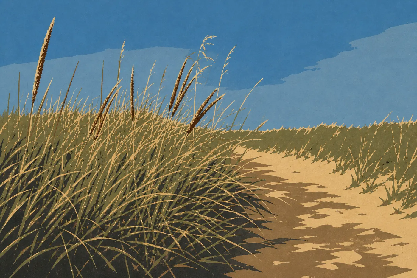 Illustration sérigraphiée : Le sentier de Cowles Bog traverse marais, forêt et dunes avant de rejoindre le lac Michigan.