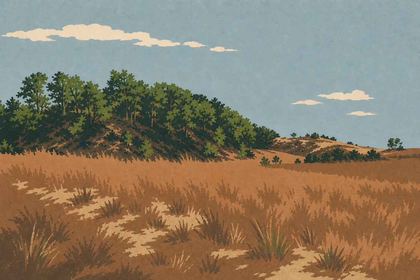 Illustration sérigraphiée : Lake Front Drive longe les dunes boisées de Beverly Shores à proximité immédiate du lac Michigan.