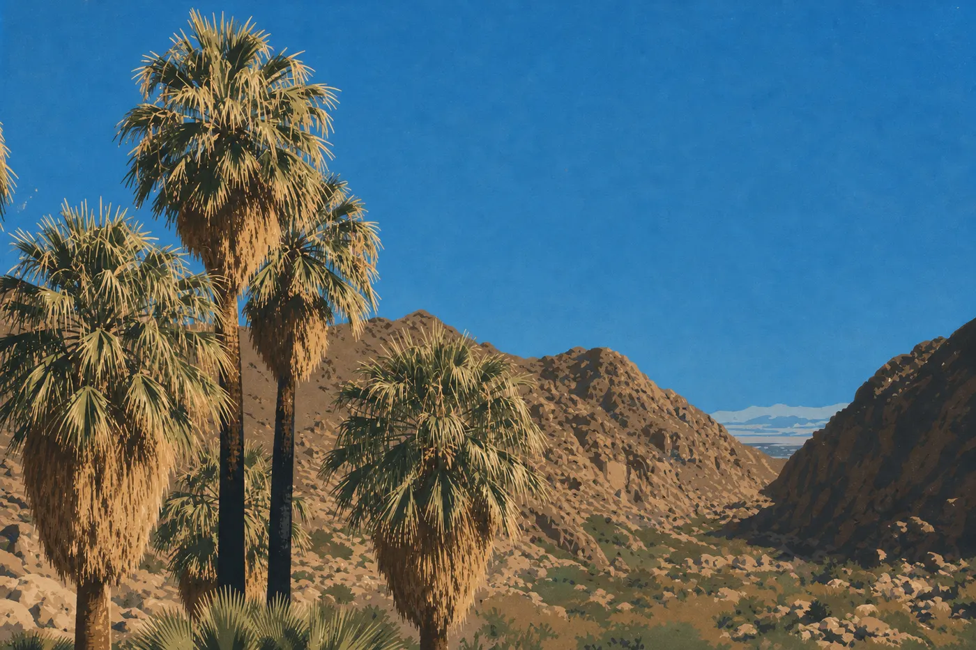 Illustration sérigraphiée : Secteur sud (Cottonwood) : Lost Palms Oasis et le désert du Colorado