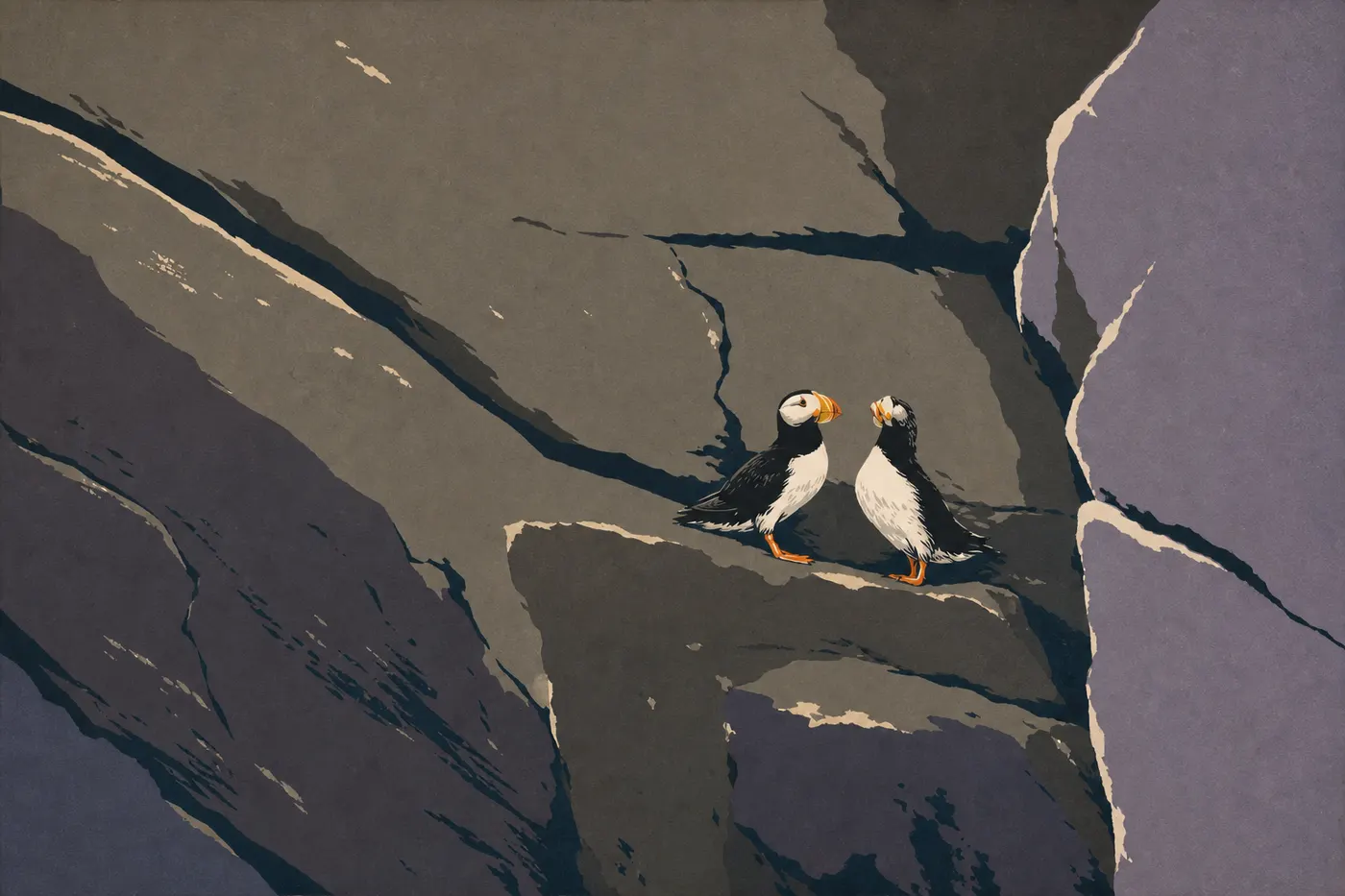 Illustration sérigraphiée : Un macareux huppé au bec orange se tient sur une corniche rocheuse des Chiswell Islands.