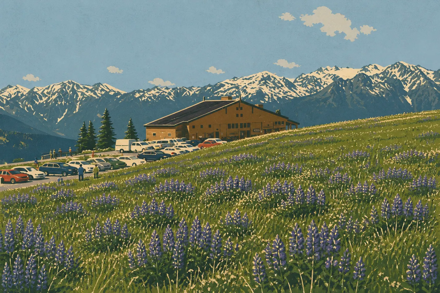 Illustration sérigraphiée : Prairies de Hurricane Ridge couvertes de fleurs sauvages printanières devant les crêtes encore enneigées.