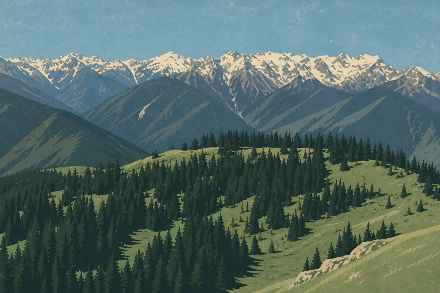 Illustration sérigraphiée : Vue depuis Hurricane Ridge réunissant crêtes glaciaires, vallées boisées et horizon occidental de la péninsule.