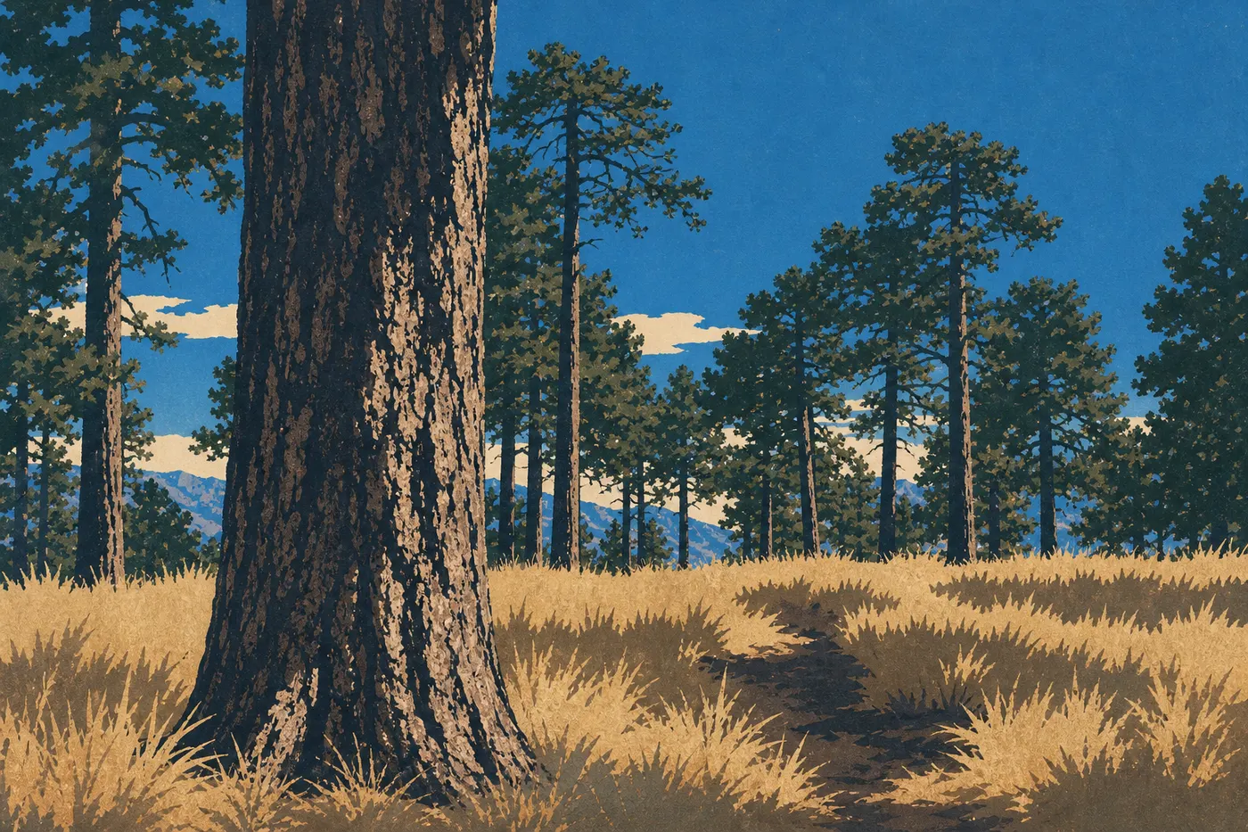 Illustration sérigraphiée : Les herbes dorées et feuillages d’automne entourent les pins des hauteurs de Mica Mountain.